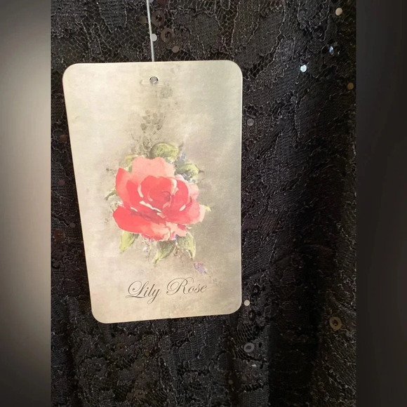 NWT Lily Rose black lace sequin evening cocktail dress small - Picture 13 of 13